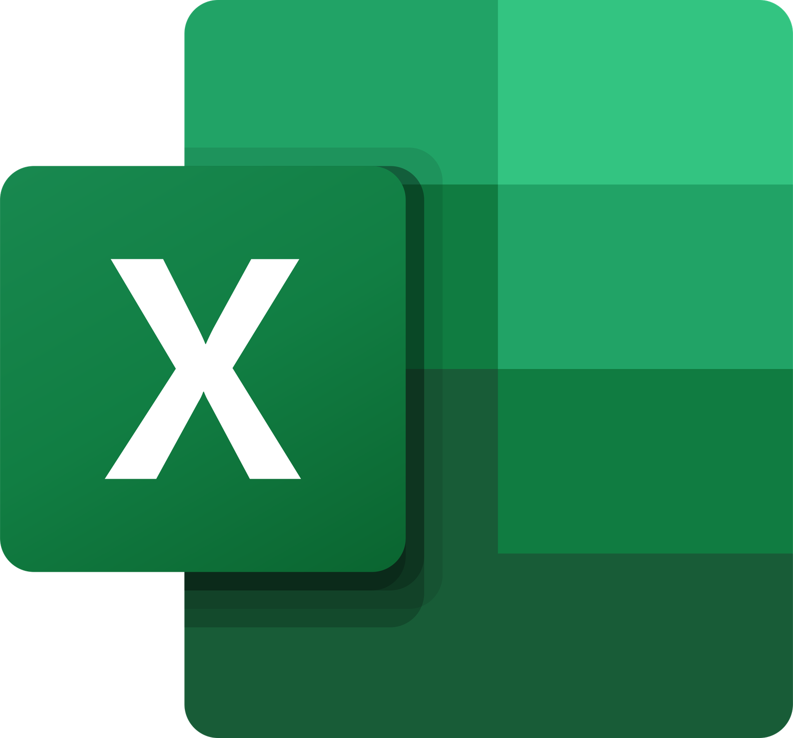 Microsoft_Office_Excel_(2019–present) (1)